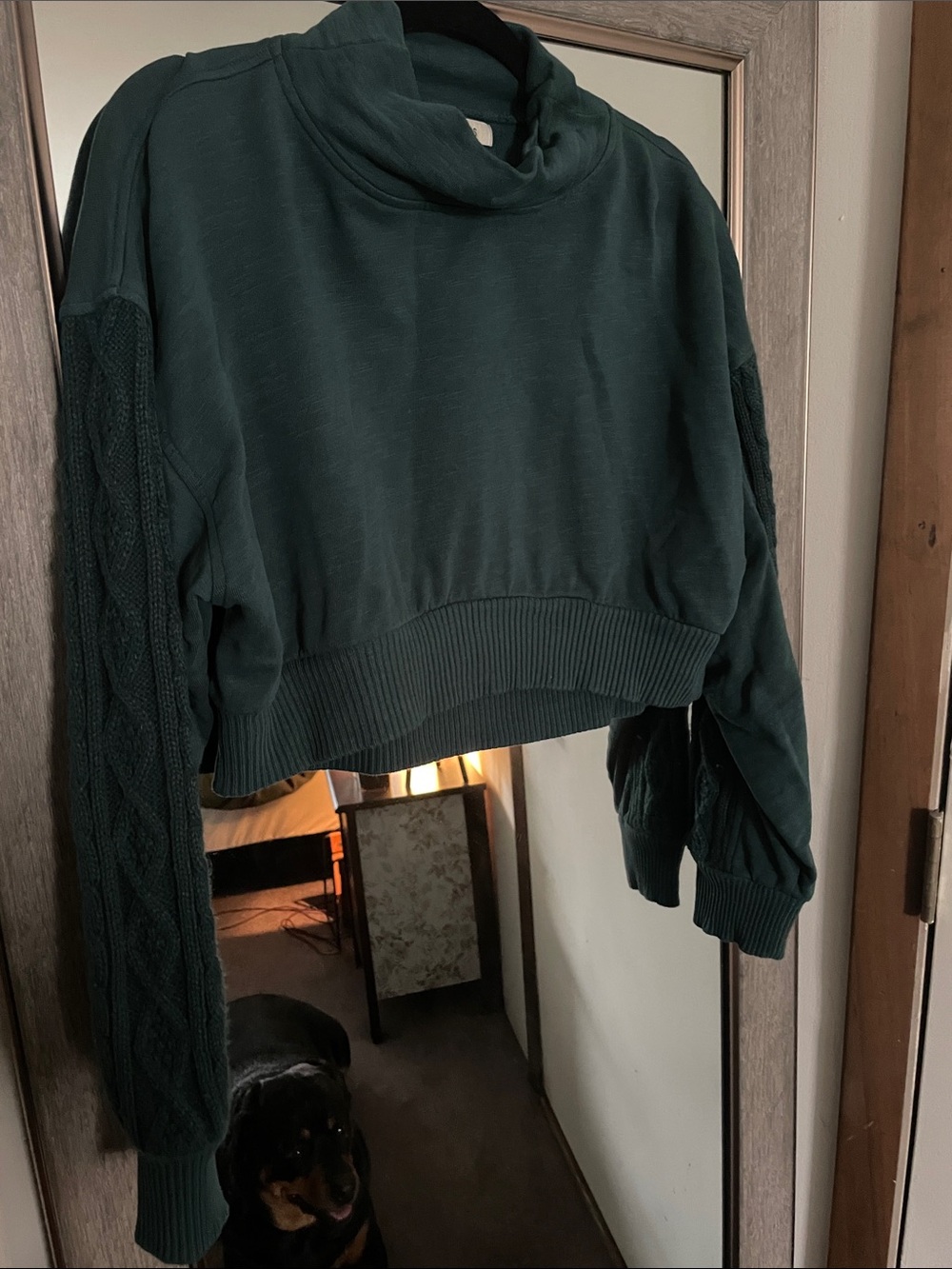 Urban Outfitters cable sleeve mock neck crop sweater - Deep Teal size medium